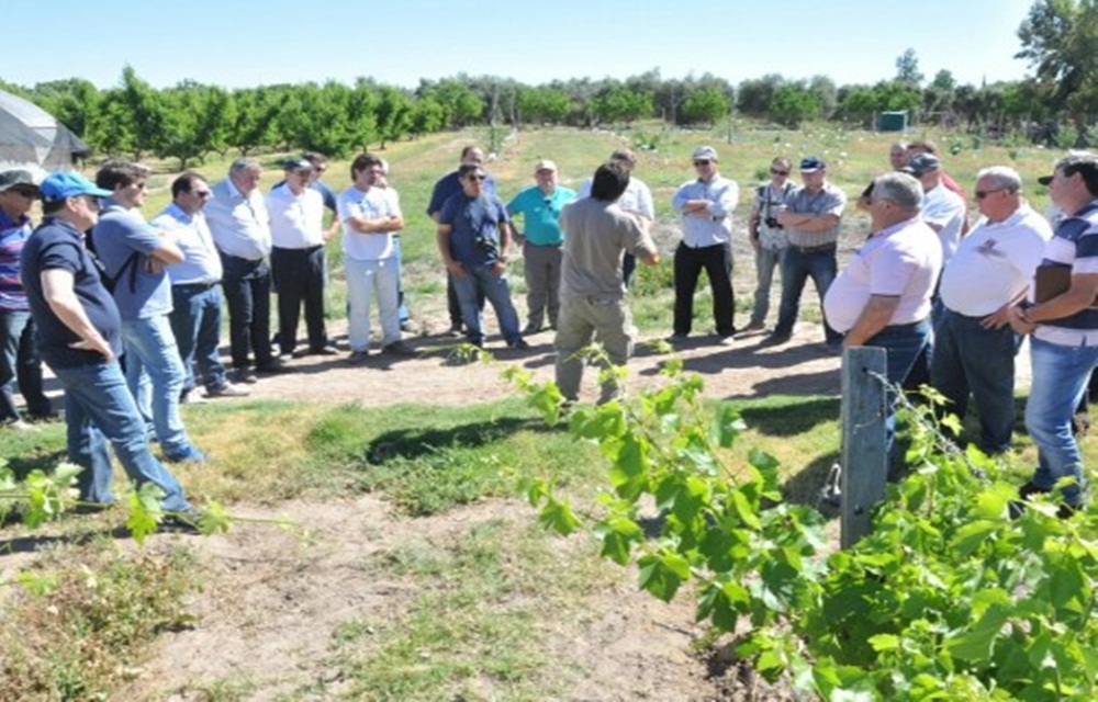 Ir para  <p>Prefeitos e vice-prefeitos da Associa&ccedil;&atilde;o dos Munic&iacute;pios do Alto Uruguai (AMAU), juntamente com empres&aacute;rios, agricultores consultores e representantes da Emater, Credenor e ACCIE...